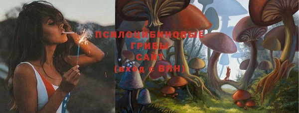 твердый Балахна