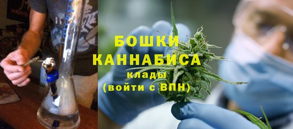 прущие грибы Балабаново