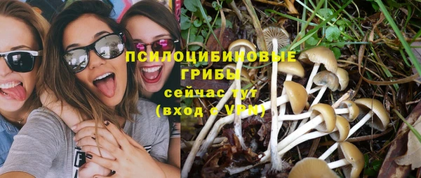 твердый Балахна