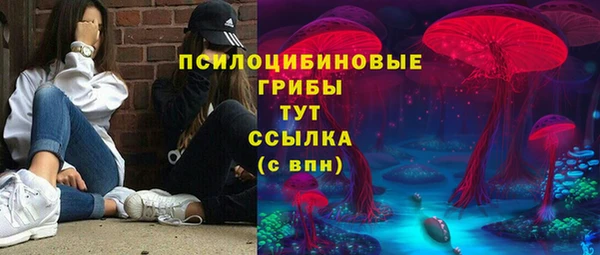mdpv Саяногорск