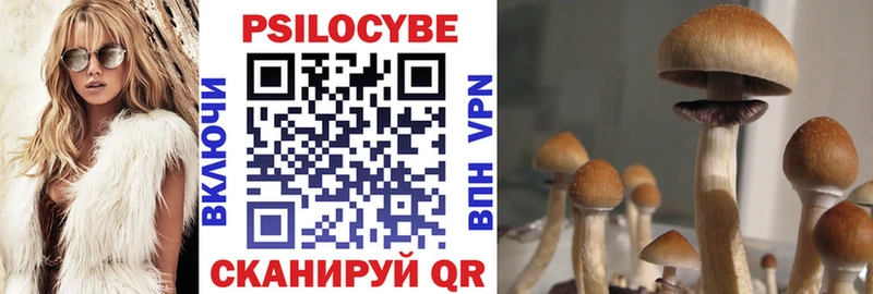 Псилоцибиновые грибы GOLDEN TEACHER  Новотитаровская 